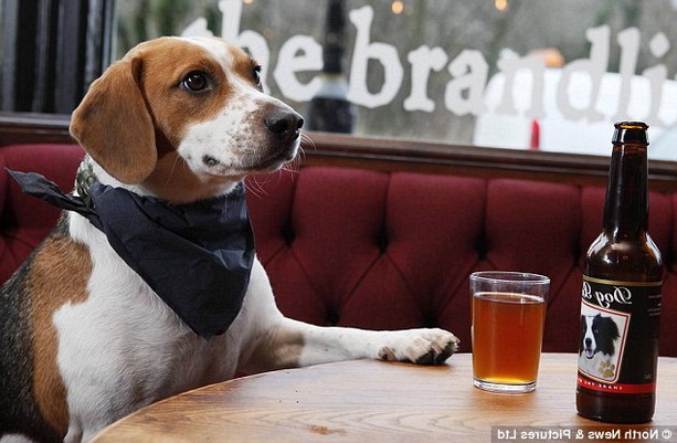 в США появилось пиво для собак