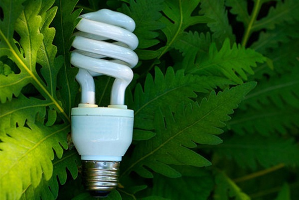 Как выбрать энергосберегающую лампу, Энергосберегающие лампы