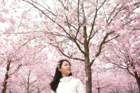 c5bda3e0fd4ee3c826d38767d2ffd018-kplbxe.webp